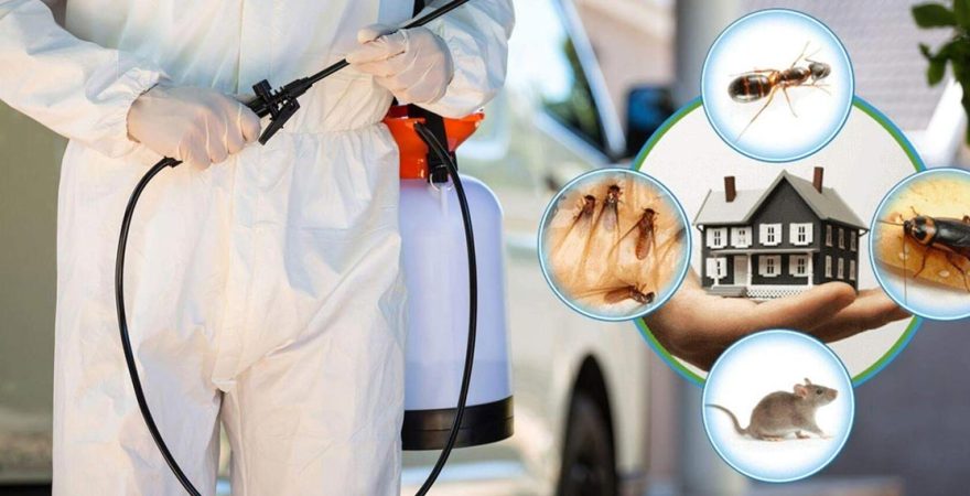 Ceyhan Böcek İlaçlama