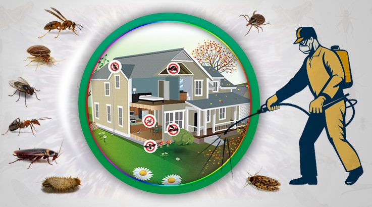 Ceyhan Böcek İlaçlama