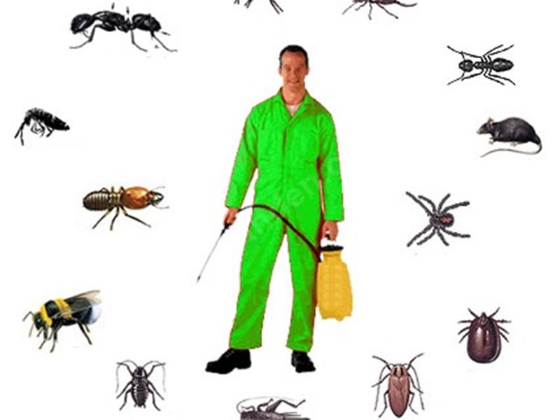 Ceyhan Böcek İlaçlama